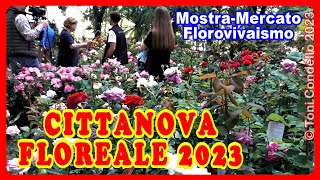 Cittanova Floreale 2023 - by Toni Condello