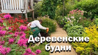 Деревенские будни // Второй фундамент // Готовимся качать мед