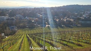 Walking in Vienna's 17th District, Hernals - Scenic Graveyard and Vineyards on a sunny Winter Day