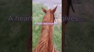 #shorts Always pray about this...#christian #prayer #god #jesuschrist #faith #horse #horseriding#fyp