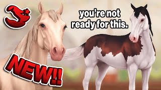 STAR STABLE SPOILERS - The NEW Updated Morgan Horse!