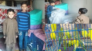 Budgies cage cover kr diya | pets vlog