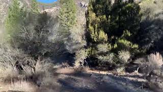 Overlanding Idaho in flatfender Jeeps. #automobile #overlanding #jeep #offroad #idaho #camping