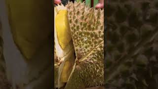 Durian #foodelicious #food #foodie #shorts #foodblogger #pinoy #durian #davaocity #popular #yummy