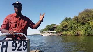 BOAT CRUISE IN CHOBE.. #KasaneVibes #Botswana