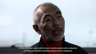 Entrevista | Interview Takashi Amano on "Nature Aquarium"