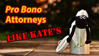 Pro Bono attorney strategies in state or federal court