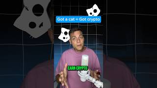 Get free crypto for photos of your cat #crypto #airdrop #telegram #hamsterkombat