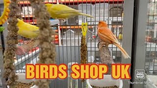 Birds shop in uk //ब्रिटेन में पक्षियों की दुकान// My second vlog//E J CHANNEL//