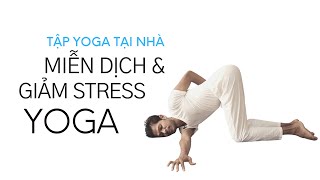 Tập Yoga Tại Nhà - Nâng Cao Hệ Miễn Dịch & Giảm Stress