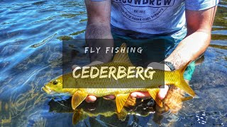 Fly fishing the Cederberg