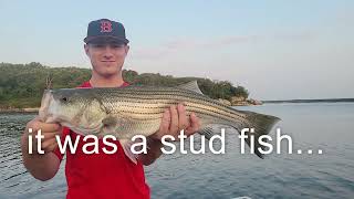 Lake Texoma Fishing Guides-Live Fishing Report-Striper Express