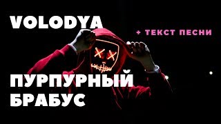 VOLODYA - ПУРПУРНЫЙ БРАБУС