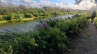 Chelmer & Blackwater Navigation Walk - Paper Mill Lock to Chelmsford #hiking #hikes #walking