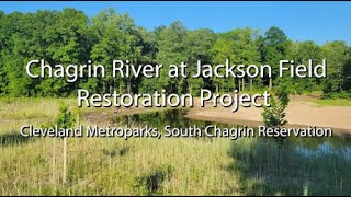 Restoration at Jackson Field in Cleveland Metroparks South Chagrin Reservation