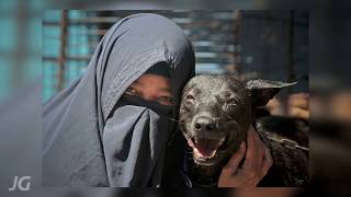 In the Name of Love : Story of a Muslim Dog Lover