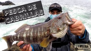 Pesca de Cabrillas Españolas