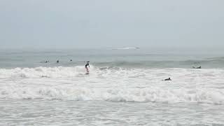 RAW Massive Hurricane Swells in Hull, MA - Point Allerton Surfing