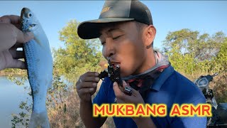 ASMR MUKBANG IKAN, HASIL TANGKAPAN HARI INI