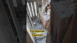 Голубиный балкон) #остекление #балконподключ #пластиковыеокна #ремонт