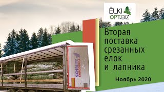 Поставка елок из Дании на склад 2020. Вторая поставка срезанных елок и лапника Нобилис.