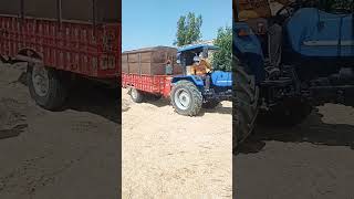 #viral #youtube #farming #viral reel #farming life #kisan tractor #short video #trending#