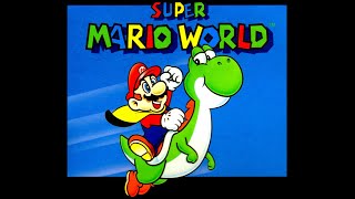 Super Mario World