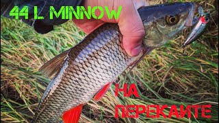 L MINNOW НА ПЕРЕКАТЕ!