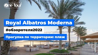 Royal Albatros Moderna 5* (Египет, Шарм-Эль-Шейх) Обзор отеля: пляж ✦ ONETOUR