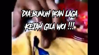 Tak Puas Hati dengan Seller,  Ikan Jadi Mangsa | Dah Kenapa???