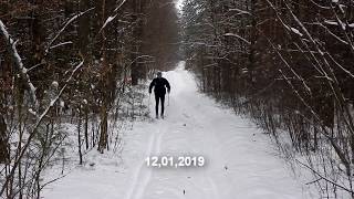 Лижні прогулянки на вихідних.