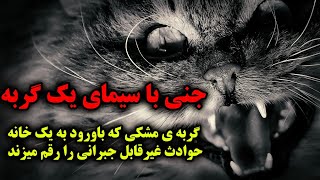 داستان ترسناک جنی با سیمای یک گربه:گربه مشکی که با ورود به یک خانه حوادث غیرقابل جبرانی را رقم میزند