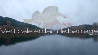 Pêche verticale profonde en lac de barrage!