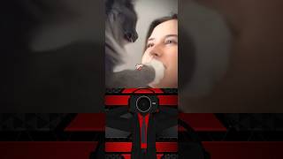 This Cat Got The KittyRizz! #fypシ゚viral #fyp #rizz #rizzleshortvideo #catrizz #meme