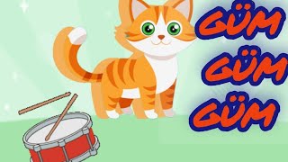 KEDİ ADAM ŞİP ŞAP ŞOP -Eğlenceli Çocuk Şarkı ve Videoları |Bebek Videoları|