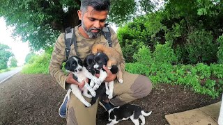 फिशिंगला जाताना सापडली लहान पिल्ले, कोणीतरी टाकून गेलं होतं 😕, Shelter to abandoned puppies