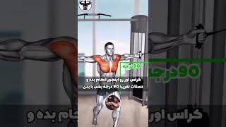 برنامه تمرینی سینه حجیم و کامل💪#viral#برنامه_تمرینی#سینه#chestday#حجم#fit#باشگاه_بدنسازی#عضله_سازی