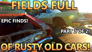 OVER 1,000 Classic Cars Got CRUSHED - UNTOUCHED Junkyard Tour Before it ALL Disappears! (Pt 2)