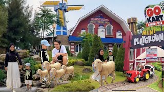 CIMORY DAIRYLAND PUNCAK TERBARU ‼️ WISATA KELUARGA DI PUNCAK