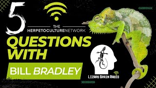 5 Questions with Bill Bradley | Coal Black Exotics & Lizard Brain Radio