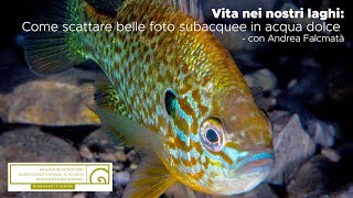 Vita nei nostri laghi: come scattare belle foto subacquee in acqua dolce