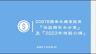 00878國泰永續高股息 「存股兩年半分享」及「2022年存股心得」-感覺對了就投資(16)