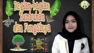 Video Pembelajaran IPA ||Bagian-Bagian Tumbuhan Dan Fungsinya,Kelas 4 SD/MI Tema 3 Subtema 1