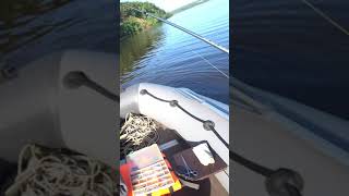 ТРИ ЗАБРОСА, ТРИ ЖЕРЕХА!!! РЫБАЛКА КЛАСС! #fishing #рыбалка #automobile