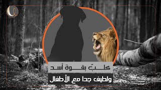 كلب تُضاهي قوته الأسد.. لطيف مع الأطفال ومناسب للعائلة.. لكن عليك الحذر قبل اقتنائه 🐕‍🦺 #ناب