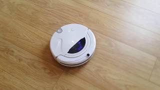 Robot Hoover For A Granny Annexe