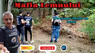 Mafia Lemnului! | Pe urma hotilor de lemne alaturi de autoritati! | Video 97