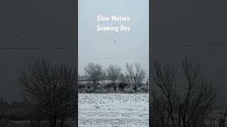 Slow Motion, Snowing Day