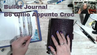 2 Book Bullet Journal System Chat, and B6 Gillio Apunto Croc