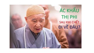 ÁC KHẨU, THỊ PHI SAU KHI CHẾT ĐI VỀ ĐÂU? PHÁP SƯ TỊNH KHÔNG KHAI THỊ